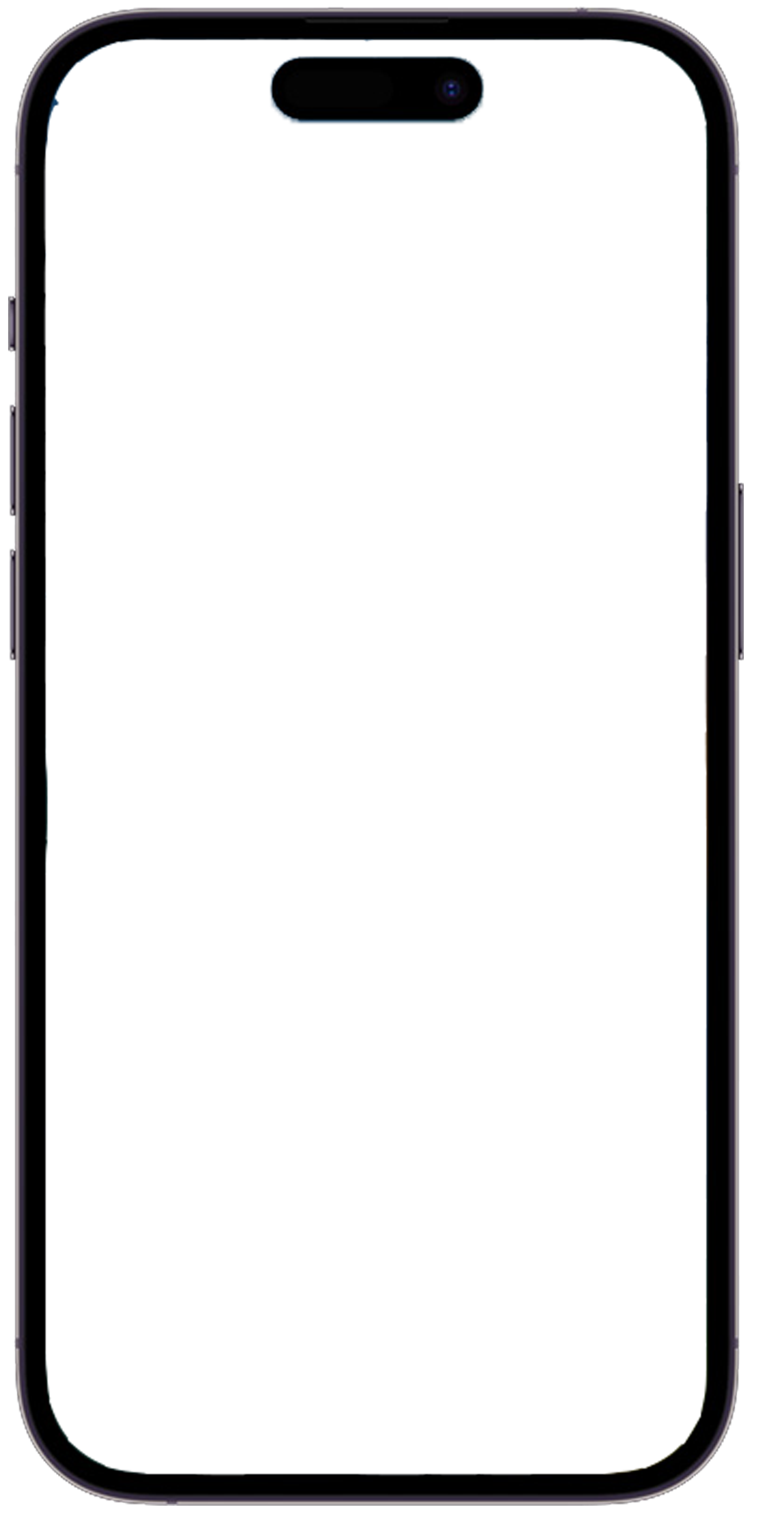 iphone frame